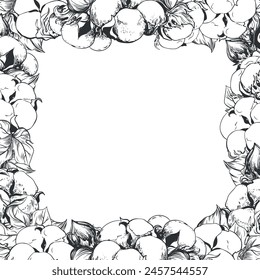 Square frame with cotton flowers and space for text. Linear sketch of white cotton balls, leaves and branches. Vector retro ink illustration. Design for label, tag or wedding invitation.