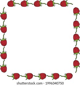  Square frame with cute raspberry on white background. Vector image.
