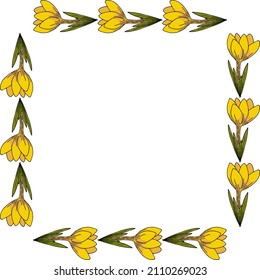 Square frame with cute yellow crocus on white background. Spring flowers. Doodle style. Vector image.
