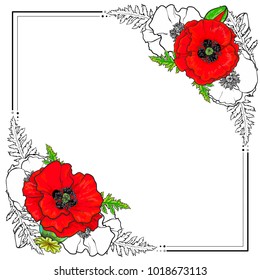 Square frame decorated with red and uncolored hand-drawn poppy flowers, vector illustration isolated on white background. Square frame decorated with hand-drawn lily flowers and place for text