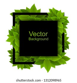 Square frame with dense foliage. Vector foliage with black square on white background. Black square and leaves.