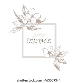 Square frame with floral background for design greeting cards or invitations and wedding decor. Jasmine flowers. Hand drawing vector illustration, isolate.