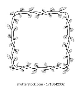 square frame with floral style. border theme of plants. delimiters for text or calligraphy. flat design isolated white background.