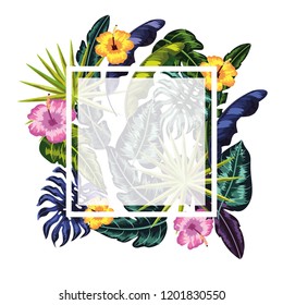 square frame with flowers plants background