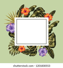 square frame with flowers plants decoration