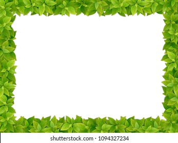 Square frame from fresh green leaves on white background. Realistic vector isolated.