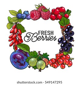 Square frame of garden berries with place for text inside, sketch style illustration isolated on white background. Blueberry, raspberry, current, cherry, plum frame, banner, poster, leaflet design