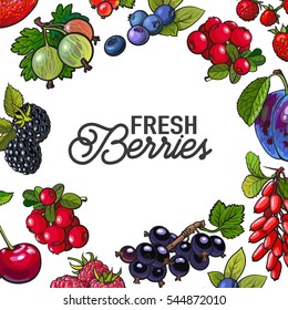 Square frame of garden berries with round place for text inside, sketch style illustration isolated on white background. Blueberry, current, cherry, plum frame, banner, poster, leaflet design