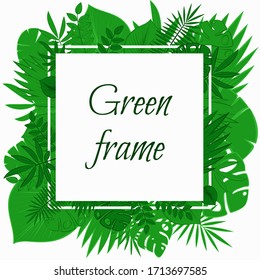 Square frame with green foliage. Pattern with green leaves of plants. Template for your design poster, banner, poscard. Vector stock illustration on a white background.