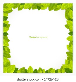 Square frame with green leaves. Vector illustration.