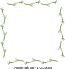 Square frame with green onion on white background. Vector image. 