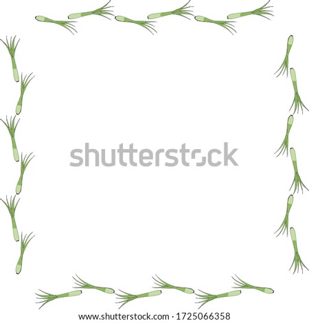 Square frame with green onion on white background. Vector image. 