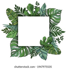 Square frame with green tropical leaves. For the design of a banner, poster, flyer, or postcard. Vector illustration. Tropical paradise.