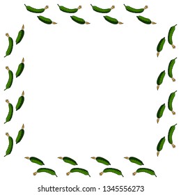 Square frame with horizontal beautiful cucumber. Isolated wreath on white background for your design