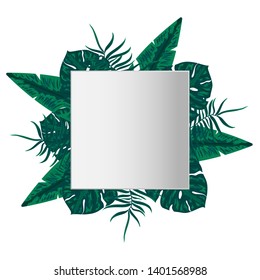 Square frame with leaves in the background, white background. Vector