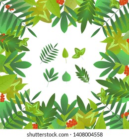 Square frame of leaves and bunches of rowan on white background. Set of leaves of different tree species. Blank for advertising card or invitation. Vector