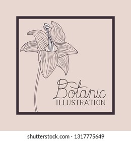 square frame with lily flowers drawn