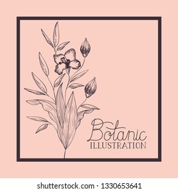 square frame with lily flowers drawn