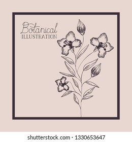 square frame with lily flowers drawn