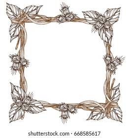 Square frame made of branches with leaves and fruits of hazelnut. Outline decorative element for design isolated on white background.