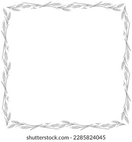 Square frame made of contour wheat or rye ears. Vector autumn border, backdrop hand drawn in Doodle style, black outline isolated on white background