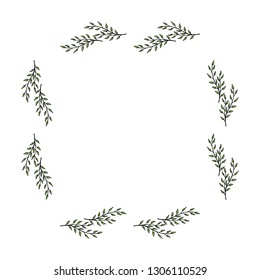 Square frame made of green branches. Branches on white background for your design.  
