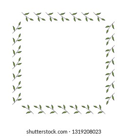 Square frame made of green branches with leaves. Vector on white for your design. 02.