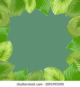 Marco cuadrado hecho de hojas de hosta sobre fondo verde