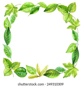 square frame made of various leaves in watercolor. design elements.