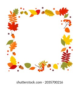 Square frame with multicolored autumn leaves, berries and acorns on a white background with a copy space. Flat vector illustration 