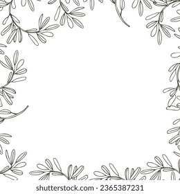 square frame of olive branches. Vector composition. Composition for postcards and stickers with your text for your design.