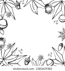 Quadratischer Rahmen auf Herbstthema. Ahornblätter, Nüsse, Kastanien, Pflanzensamen auf weißem Hintergrund. Geeignet für Druck, Textilien, Handwerk, Einladungen und Scrapbooking.