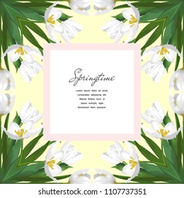 Square frame on  background with bouquets of white tulips