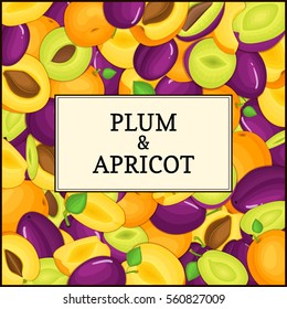 The Square frame on ripe apricot plum fruit background. Vector card illustration. Delicious fresh juicy apricots plums whole, peeled, piece of half, slice, seed appetizing looking for packaging design