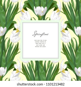 Square frame on seamless background with bouquets of white tulips