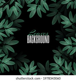 Square frame of overgrown tree branches with green leaves. Realistic Leaf in a circle. Blank for an advertising card or invitation. Dark background and place for text.