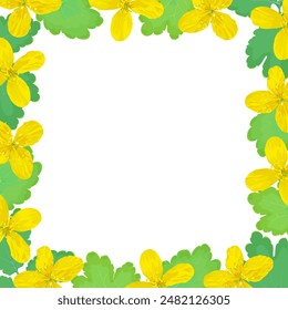 Square frame, pattern of celandine flowers on a white background 