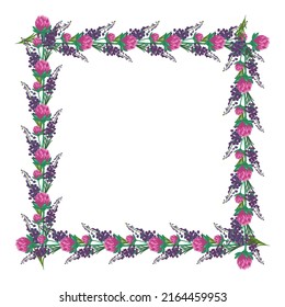Square frame of pink clover flowers and purple wild plants. Wreath, cute bright plant with shamrock leaves. Festive decorations for wedding, holiday, card, poster and design. vector flat illustration