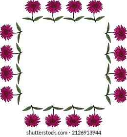 Square frame with pink echinacea on white background. Vector image.