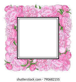 Square frame of pink peony flowers with empty, blank space for text, sketch, hand drawn vector illustration isolated on white background. Hand-drawn vector peony flowers forming square frame
