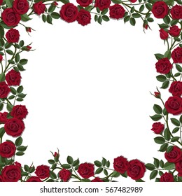 Red Roses Borders And Frames