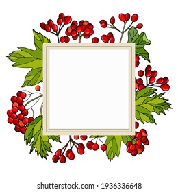 Square frame with red viburnum berries and leaves. Template for invitations, packaging, greeting cards.