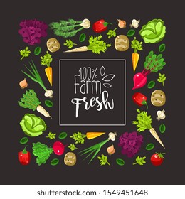 Square frame of root vegetables and greens. Vector illustration.