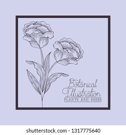 square frame with rose flower drawn