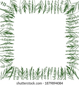 Square frame  with silhouettes of green herbs on white - background with wild grass for natural spring and summer design