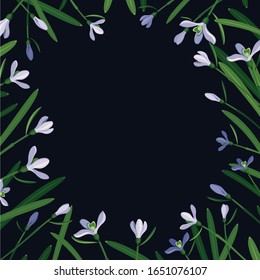 square frame of snowdrops arranged around 
the perimeter, dark grey background