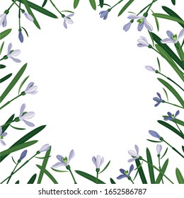 square frame of snowdrops arranged around 
the perimeter, white background