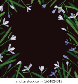 square frame of snowdrops arranged around 
the perimeter, brown background
