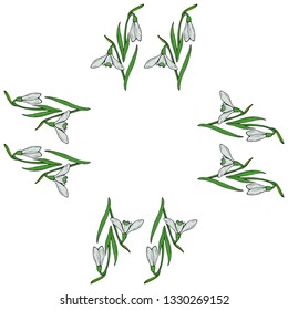 Square frame of snowdrops. Isolated flowers on white background for your design. 