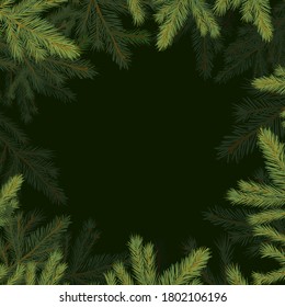 Square frame of spruce twigs. Vector illustration